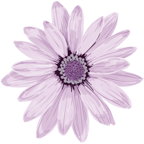 A stylized illustration of a daisy flower with light purple petals and a detailed purple center, set against a solid green background. The petals are elongated and slightly curved, arranged in a symmetrical, radial pattern around the center.