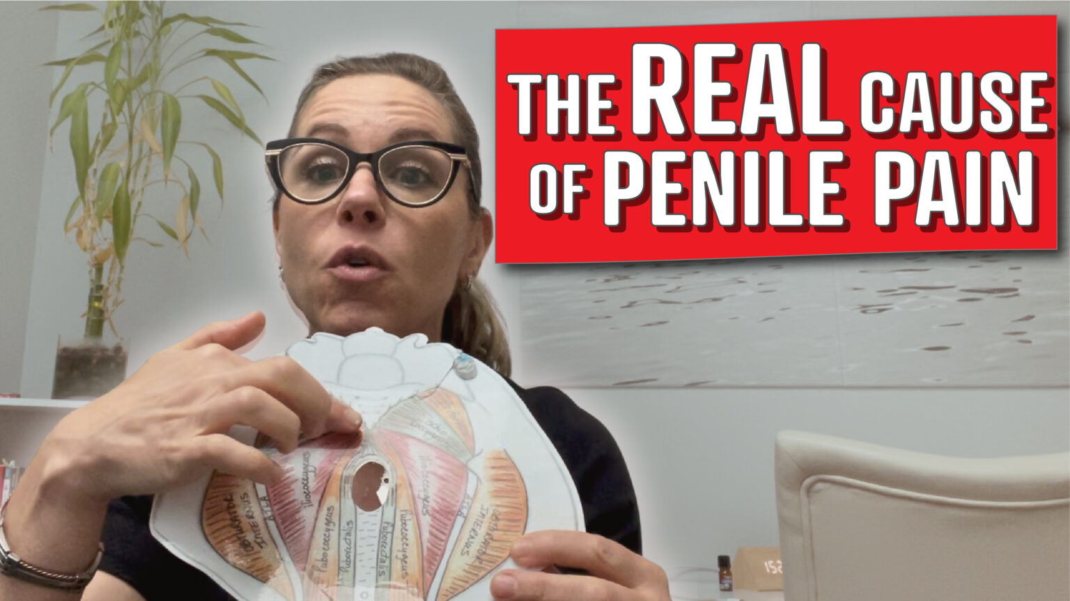 A person holding a diagram of the male anatomy, pointing to a specific area, with a red text overlay that reads "THE REAL CAUSE of PENILE PAIN." The background includes a potted plant, a chair, and a small clock displaying the time.