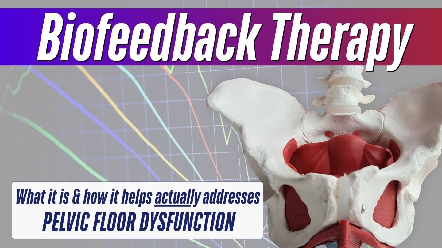 Biofeedback therapy thumbnail showing an anatomical pelvis model with red pelvic floor muscles over a biofeedback tracing graph, with text reading "Biofeedback Therapy: what it is and how it helps address pelvic floor dysfunction."